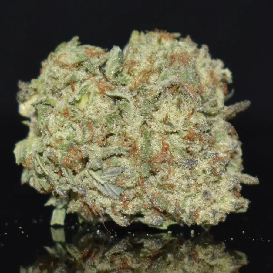 Pink Lava strain, Pink Lava weed strain, Pink Lava marijuana strain, Pink Lava Buds