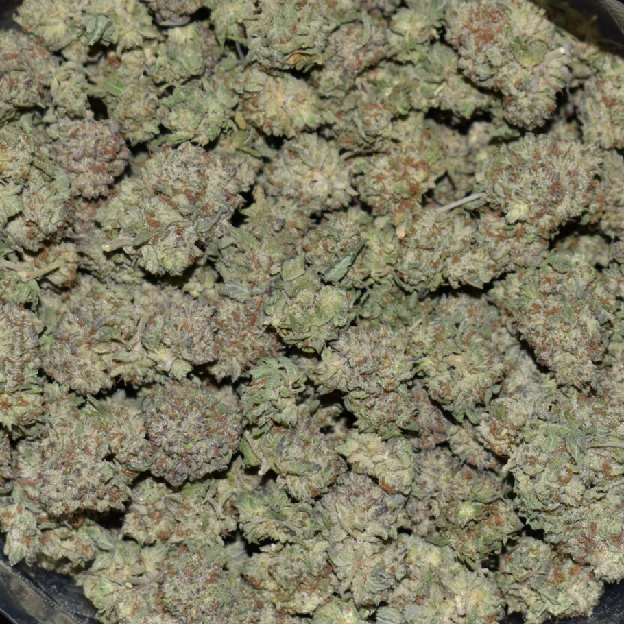 Pink Lava strain, Pink Lava weed strain, Pink Lava marijuana strain, Pink Lava Buds