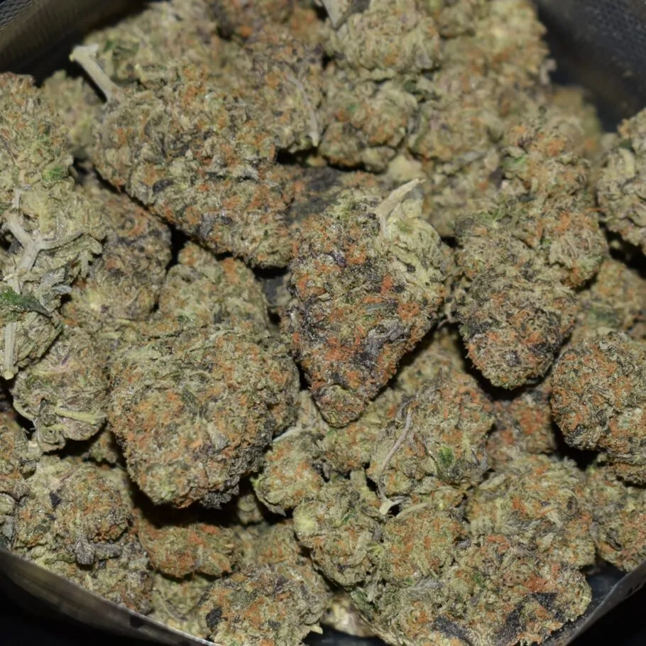 Pink Mintz strain, Pink Mintz weed strain, Pink Mintz marijuana strain, Pink Mintz Buds