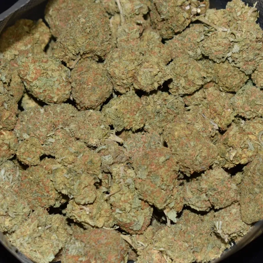 Banana Runtz strain, Banana Runtz weed strain, Banana Runtz marijuana strain, Banana Runtz Buds