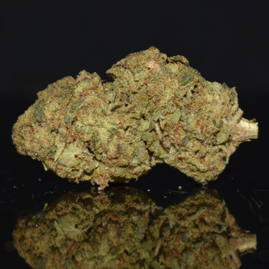 Dosidos strain, Dosidos weed strain, Dosidos marijuana strain, Dosidos Buds