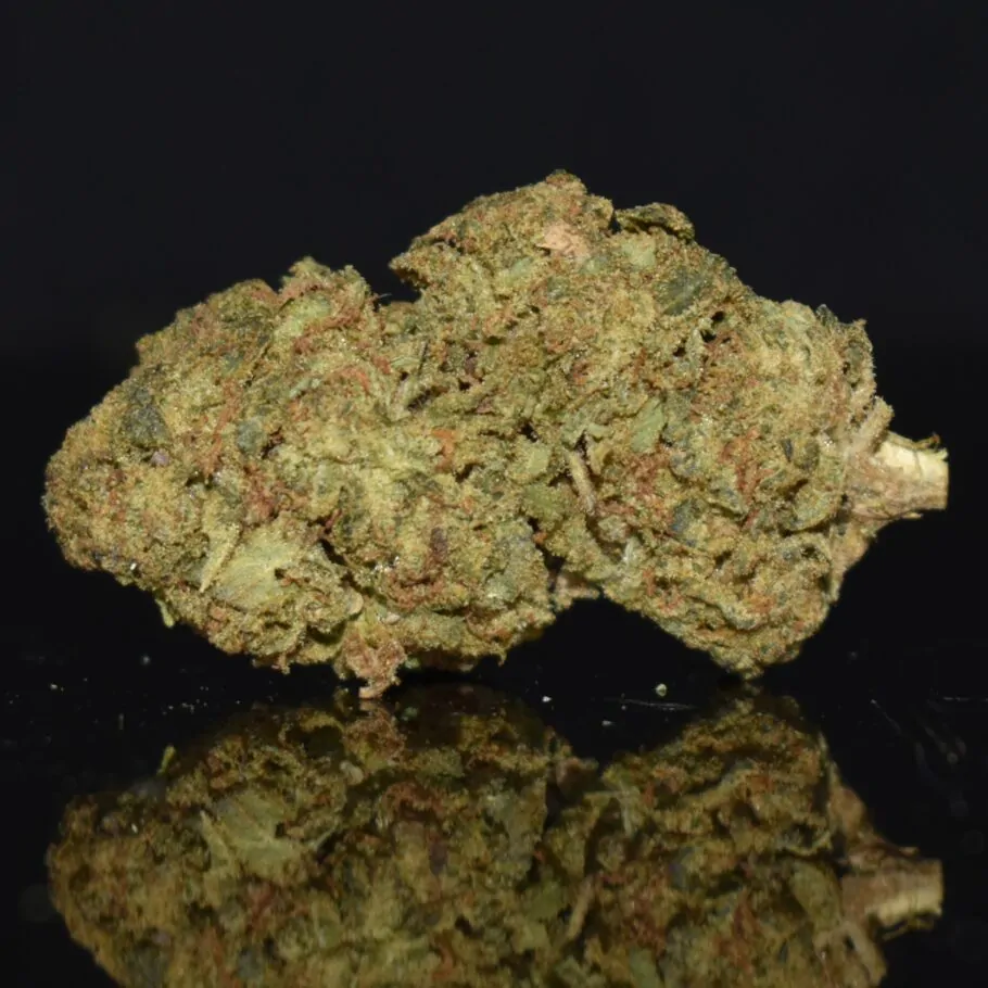 Dosidos strain, Dosidos weed strain, Dosidos marijuana strain, Dosidos Buds