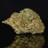 Dosidos strain, Dosidos weed strain, Dosidos marijuana strain, Dosidos Buds