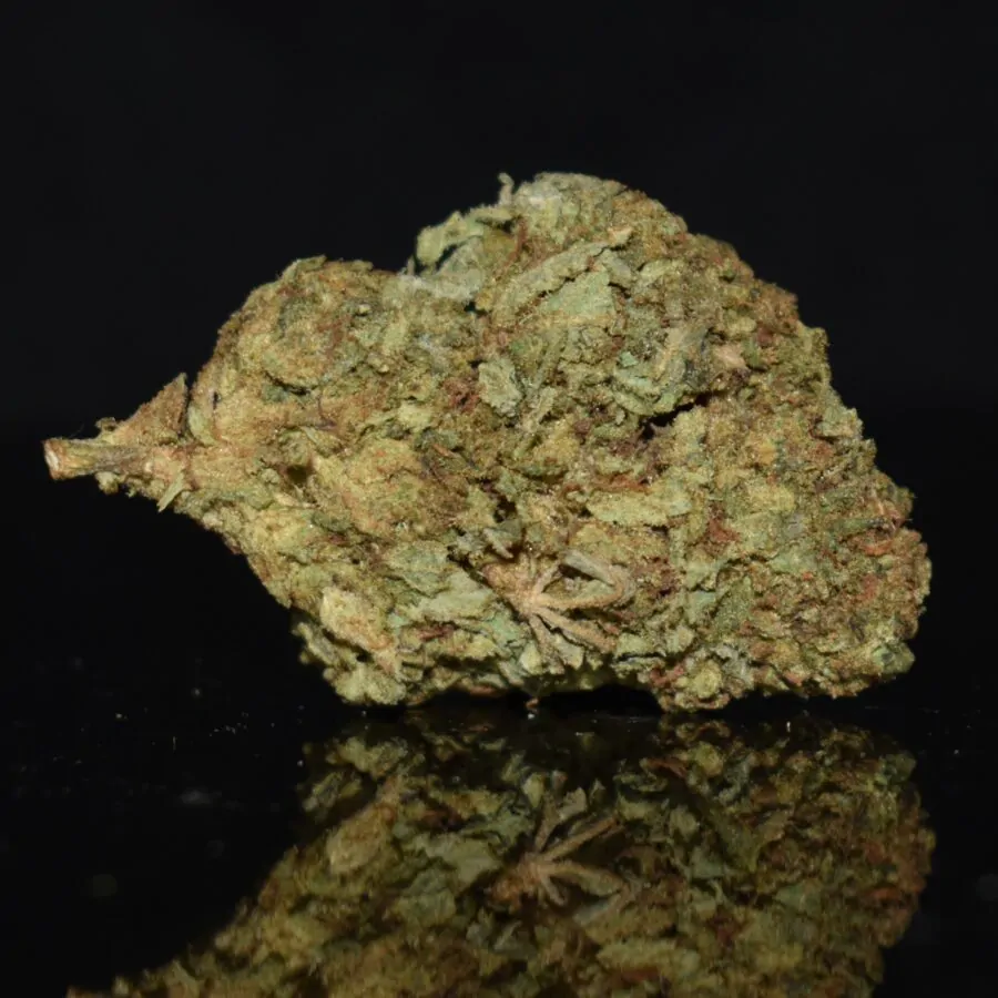 Dosidos strain, Dosidos weed strain, Dosidos marijuana strain, Dosidos Buds