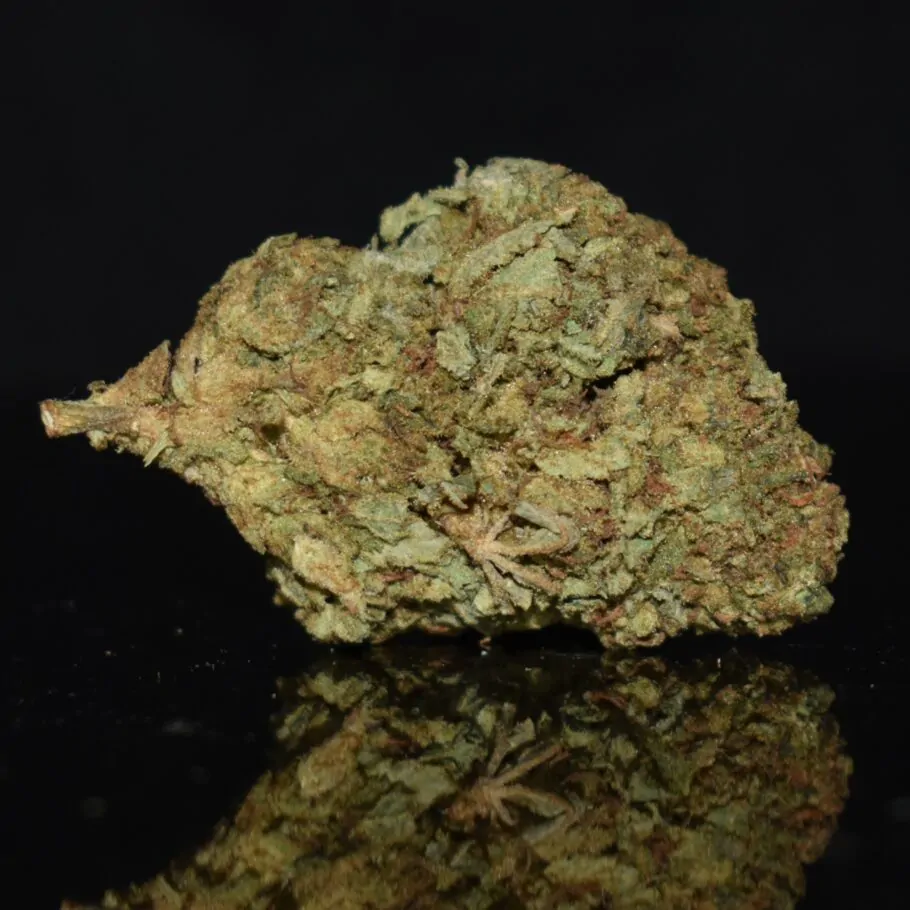 Dosidos strain, Dosidos weed strain, Dosidos marijuana strain, Dosidos Buds