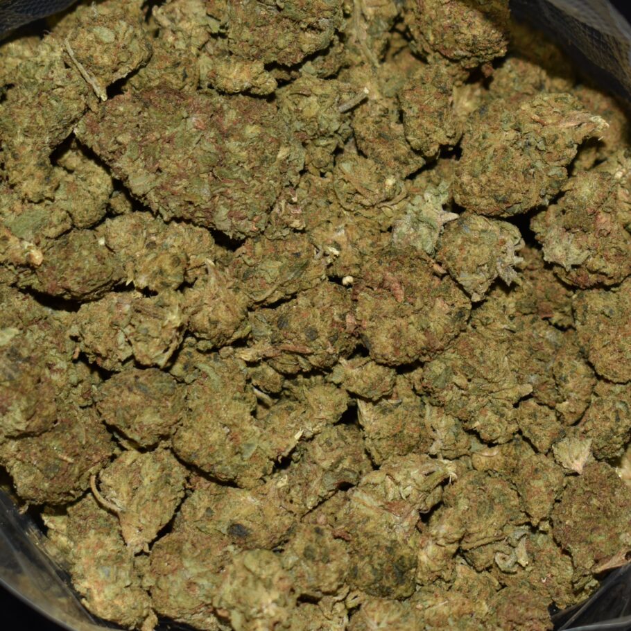 Dosidos strain, Dosidos weed strain, Dosidos marijuana strain, Dosidos Buds