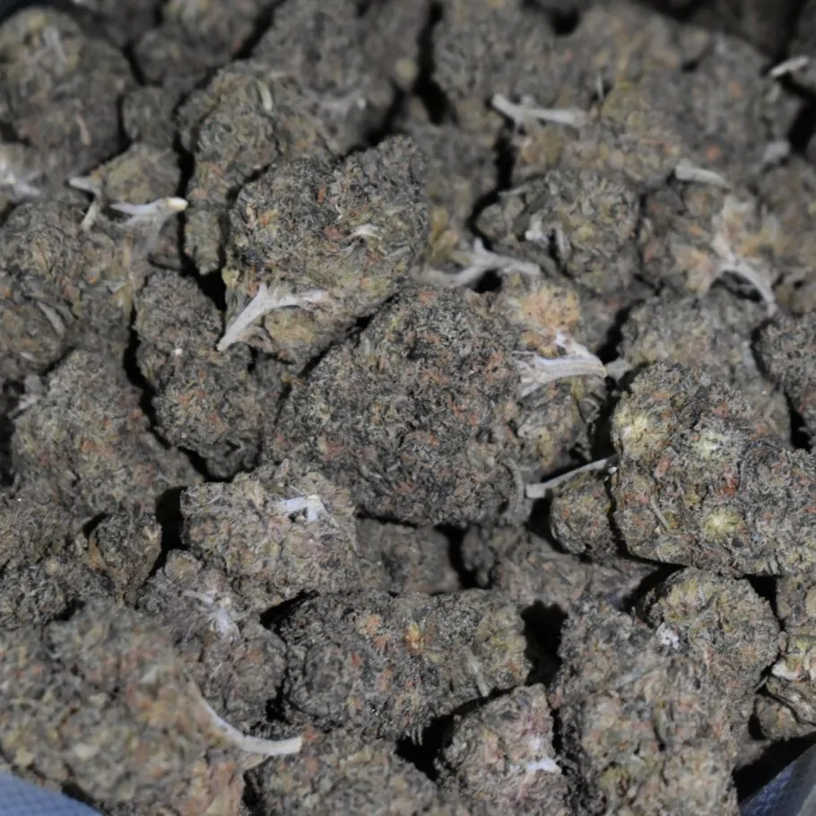 Pink Bubba strain, Pink Bubba weed strain, Pink Bubba marijuana strain, Pink Bubba Buds