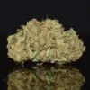 RS11 strain, RS11 weed strain, RS11 marijuana strain, RS11 Buds