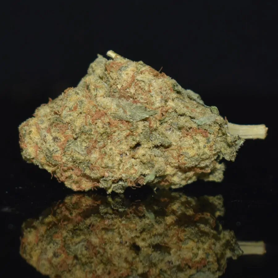 RS11 strain, RS11 weed strain, RS11 marijuana strain, RS11 Buds