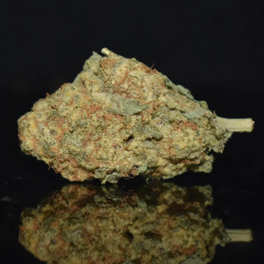 RS11 strain, RS11 weed strain, RS11 marijuana strain, RS11 Buds