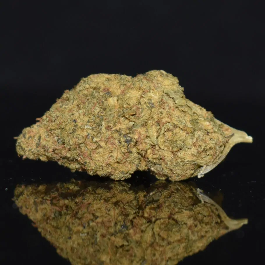 AK47 strain, AK47 weed strain, AK47 marijuana strain, AK47 Buds