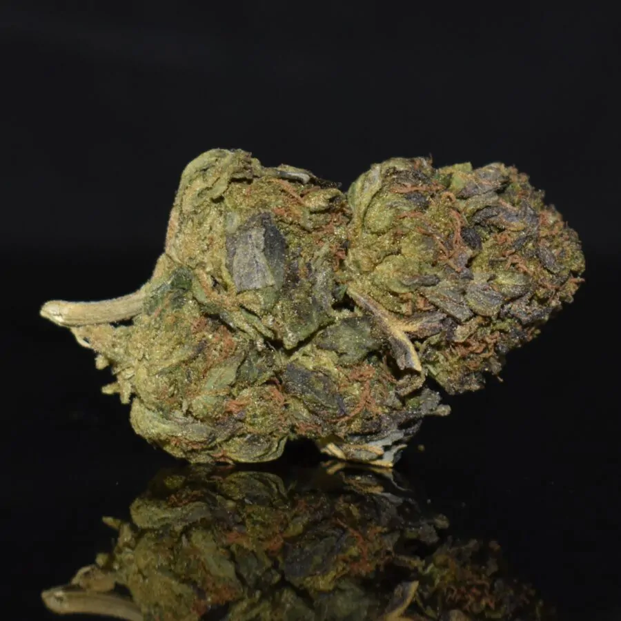 Berry Gas strain, Berry Gas weed strain, Berry Gas marijuana strain, Berry Gas Buds