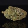 Berry Gas strain, Berry Gas weed strain, Berry Gas marijuana strain, Berry Gas Buds