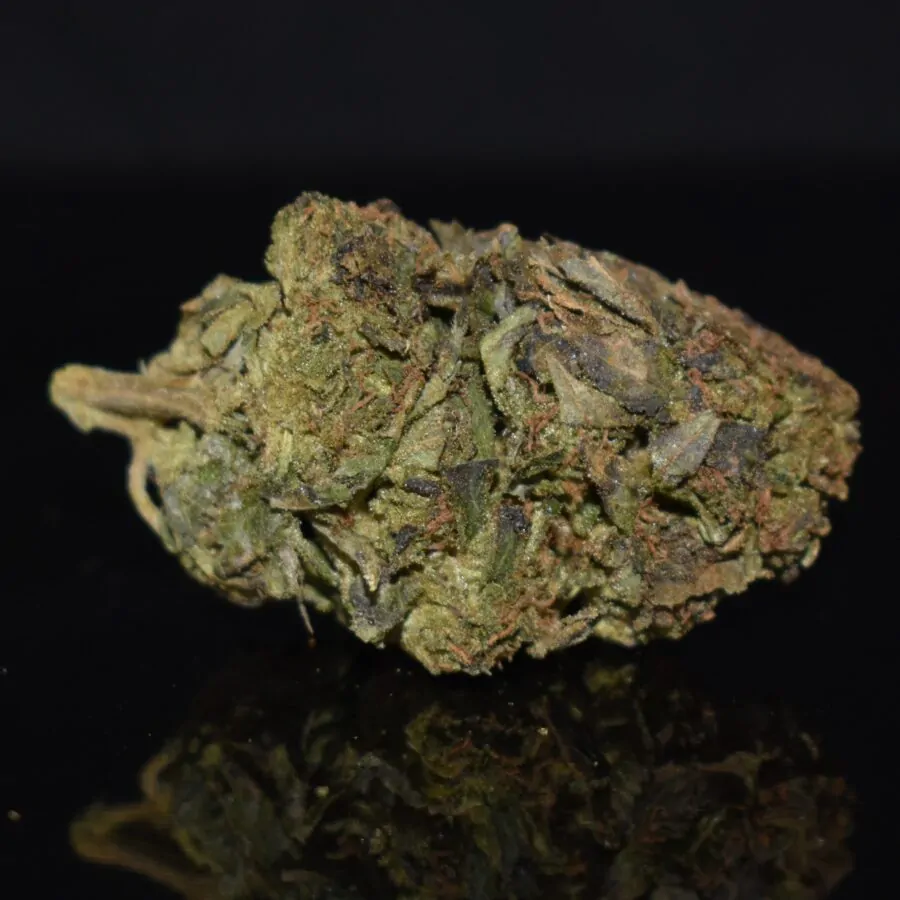 Berry Gas strain, Berry Gas weed strain, Berry Gas marijuana strain, Berry Gas Buds