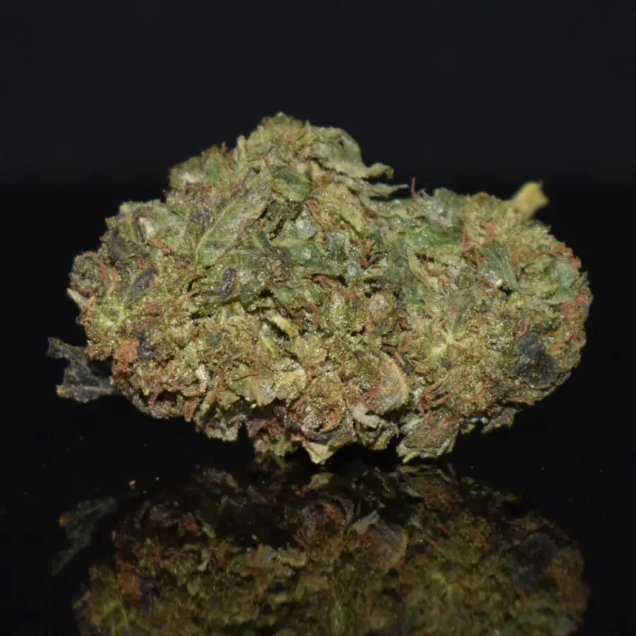 Berry Gas strain, Berry Gas weed strain, Berry Gas marijuana strain, Berry Gas Buds