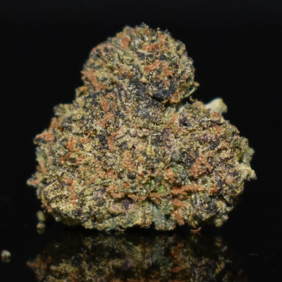 Black Apple (Popcorn) strain, Black Apple (Popcorn) weed strain, Black Apple (Popcorn) marijuana strain, Black Apple (Popcorn) Buds