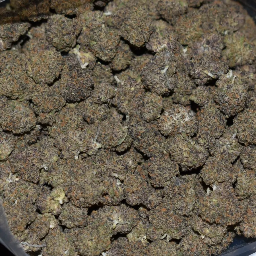 Black Apple (Popcorn) strain, Black Apple (Popcorn) weed strain, Black Apple (Popcorn) marijuana strain, Black Apple (Popcorn) Buds