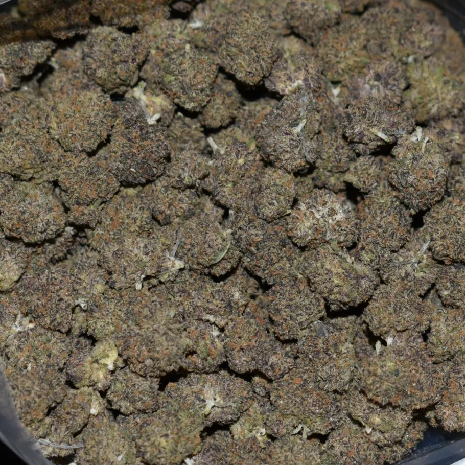 Black Apple (Popcorn) strain, Black Apple (Popcorn) weed strain, Black Apple (Popcorn) marijuana strain, Black Apple (Popcorn) Buds