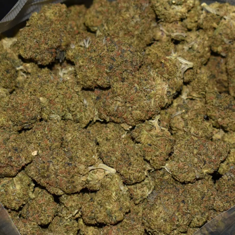 Death Mask strain, Death Mask weed strain, Death Mask marijuana strain, Death Mask Buds