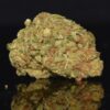 Ghost Train Haze strain, Ghost Train Haze weed strain, Ghost Train Haze marijuana strain, Ghost Train Haze Buds