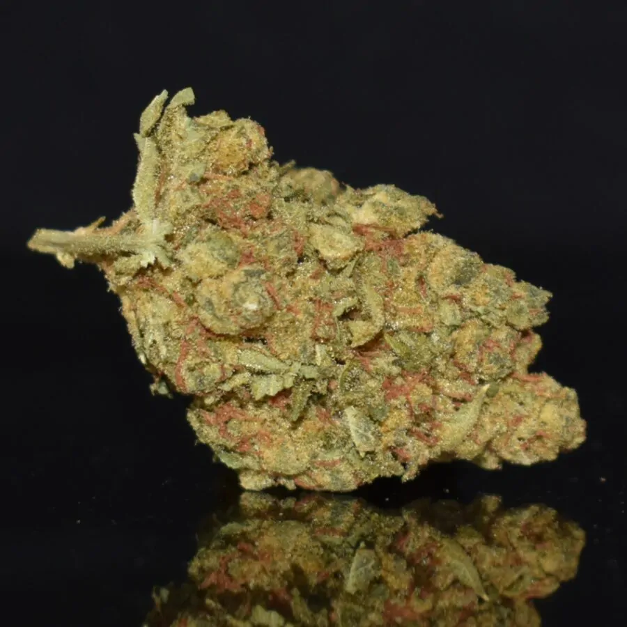 Ghost Train Haze strain, Ghost Train Haze weed strain, Ghost Train Haze marijuana strain, Ghost Train Haze Buds