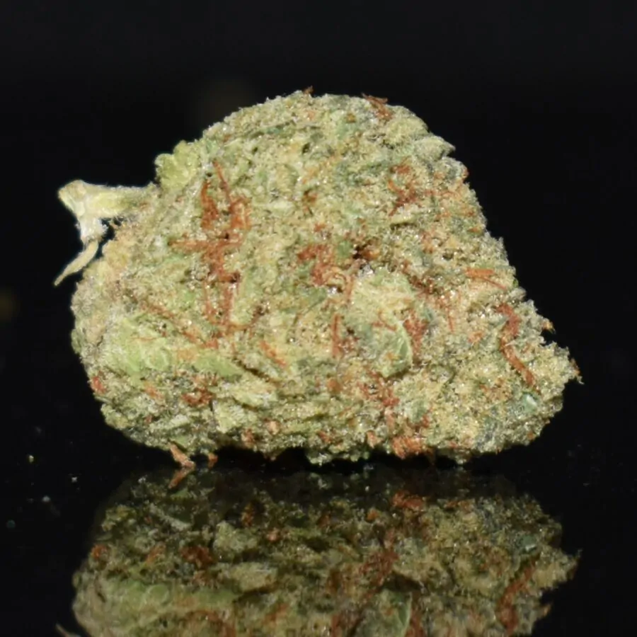 Jealousy (Popcorn) strain, Jealousy (Popcorn) weed strain, Jealousy (Popcorn) marijuana strain, Jealousy (Popcorn) Buds