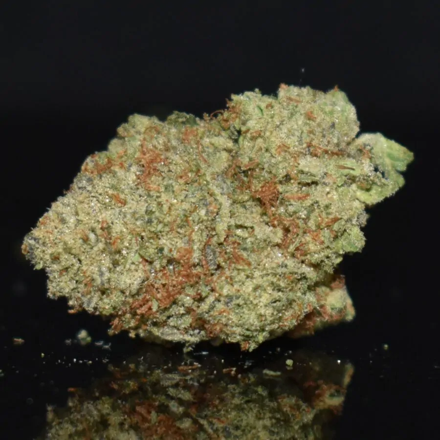 Jealousy (Popcorn) strain, Jealousy (Popcorn) weed strain, Jealousy (Popcorn) marijuana strain, Jealousy (Popcorn) Buds