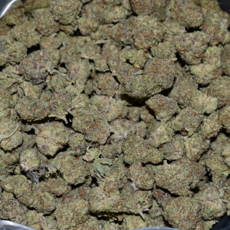 Jealousy (Popcorn) strain, Jealousy (Popcorn) weed strain, Jealousy (Popcorn) marijuana strain, Jealousy (Popcorn) Buds