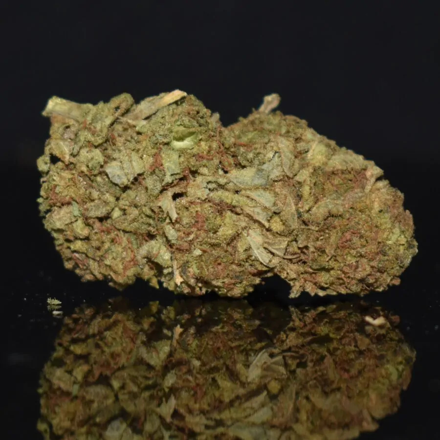 LA Cheese strain, LA Cheese weed strain, LA Cheese marijuana strain, LA Cheese Buds