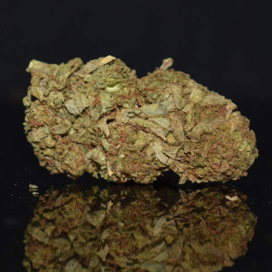 LA Cheese strain, LA Cheese weed strain, LA Cheese marijuana strain, LA Cheese Buds