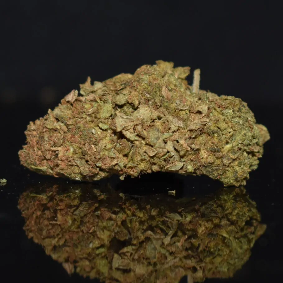 LA Cheese strain, LA Cheese weed strain, LA Cheese marijuana strain, LA Cheese Buds