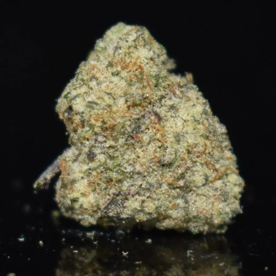 Macho (Popcorn) strain, Macho (Popcorn) weed strain, Macho (Popcorn) marijuana strain, Macho (Popcorn) Buds