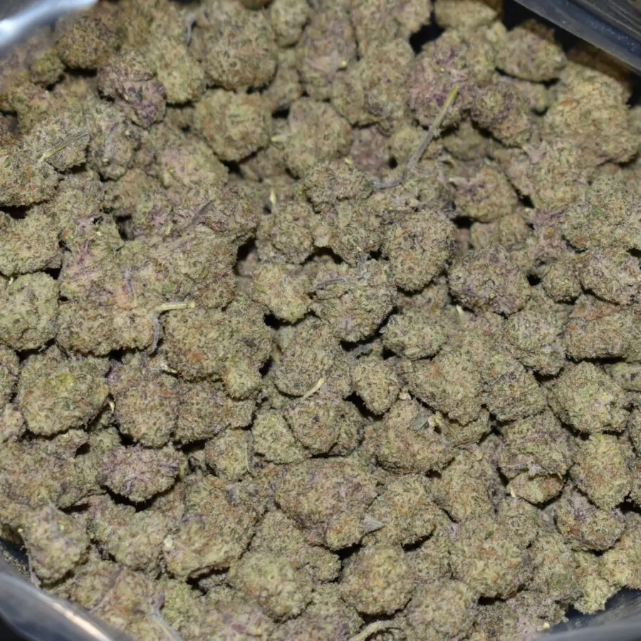 Macho (Popcorn) strain, Macho (Popcorn) weed strain, Macho (Popcorn) marijuana strain, Macho (Popcorn) Buds