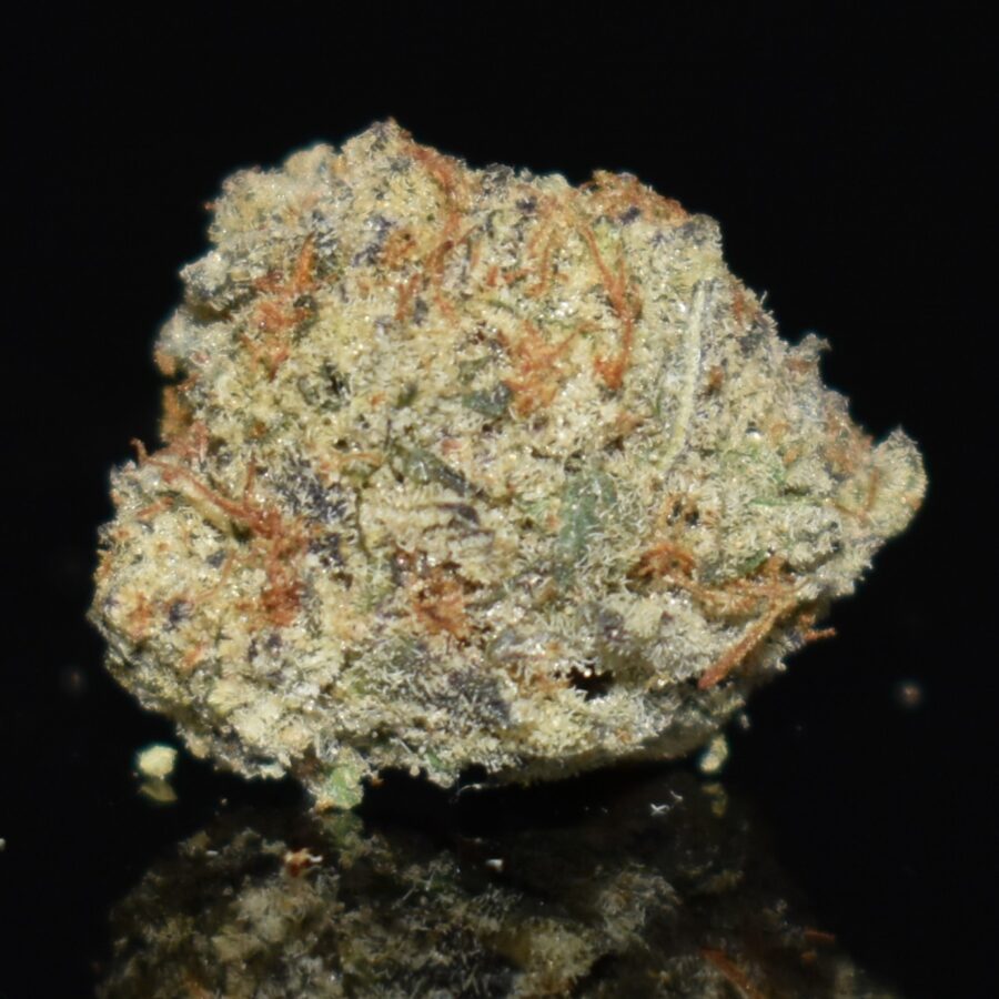 Permanent Maker (Popcorn) strain, Permanent Maker (Popcorn) weed strain, Permanent Maker (Popcorn) marijuana strain, Permanent Maker (Popcorn) Buds
