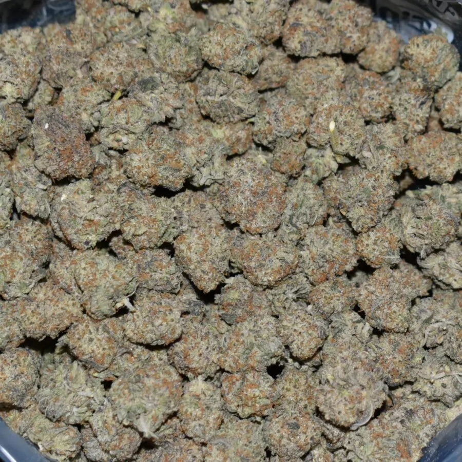 Permanent Maker (Popcorn) strain, Permanent Maker (Popcorn) weed strain, Permanent Maker (Popcorn) marijuana strain, Permanent Maker (Popcorn) Buds