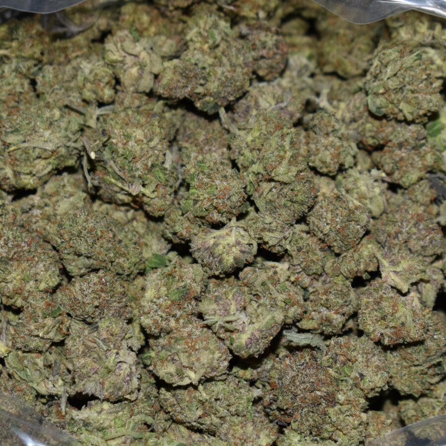 Pink Gas (Popcorn) strain, Pink Gas (Popcorn) weed strain, Pink Gas (Popcorn) marijuana strain, Pink Gas (Popcorn) Buds
