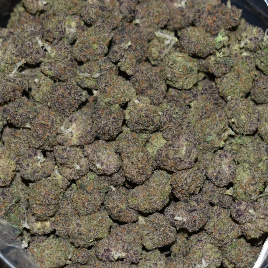 Pink Sherbet (Popcorn) strain, Pink Sherbet (Popcorn) weed strain, Pink Sherbet (Popcorn) marijuana strain, Pink Sherbet (Popcorn) Buds