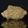 Candy Rain strain, Candy Rain weed strain, Candy Rain marijuana strain, Candy Rain Buds
