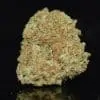 Mini Oreo strain, Mini Oreo weed strain, Mini Oreo marijuana strain, Mini Oreo Buds
