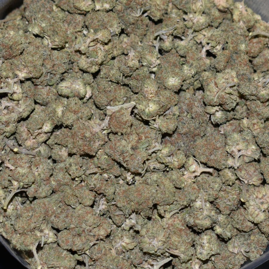 Mini Oreo strain, Mini Oreo weed strain, Mini Oreo marijuana strain, Mini Oreo Buds