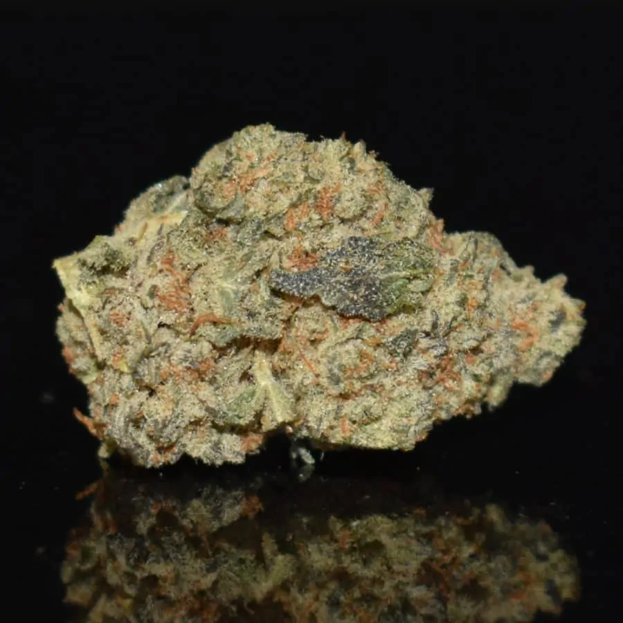 Sherbet Cookies strain, Sherbet Cookies weed strain, Sherbet Cookies marijuana strain, Sherbet Cookies Buds