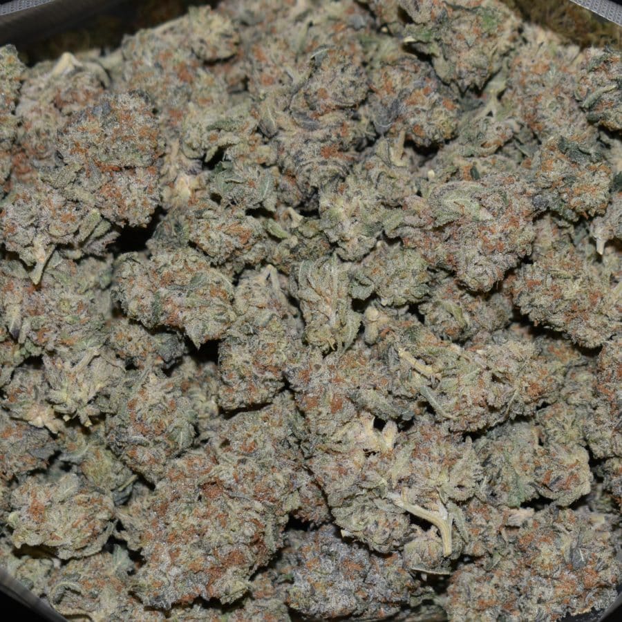 Sherbet Cookies strain, Sherbet Cookies weed strain, Sherbet Cookies marijuana strain, Sherbet Cookies Buds