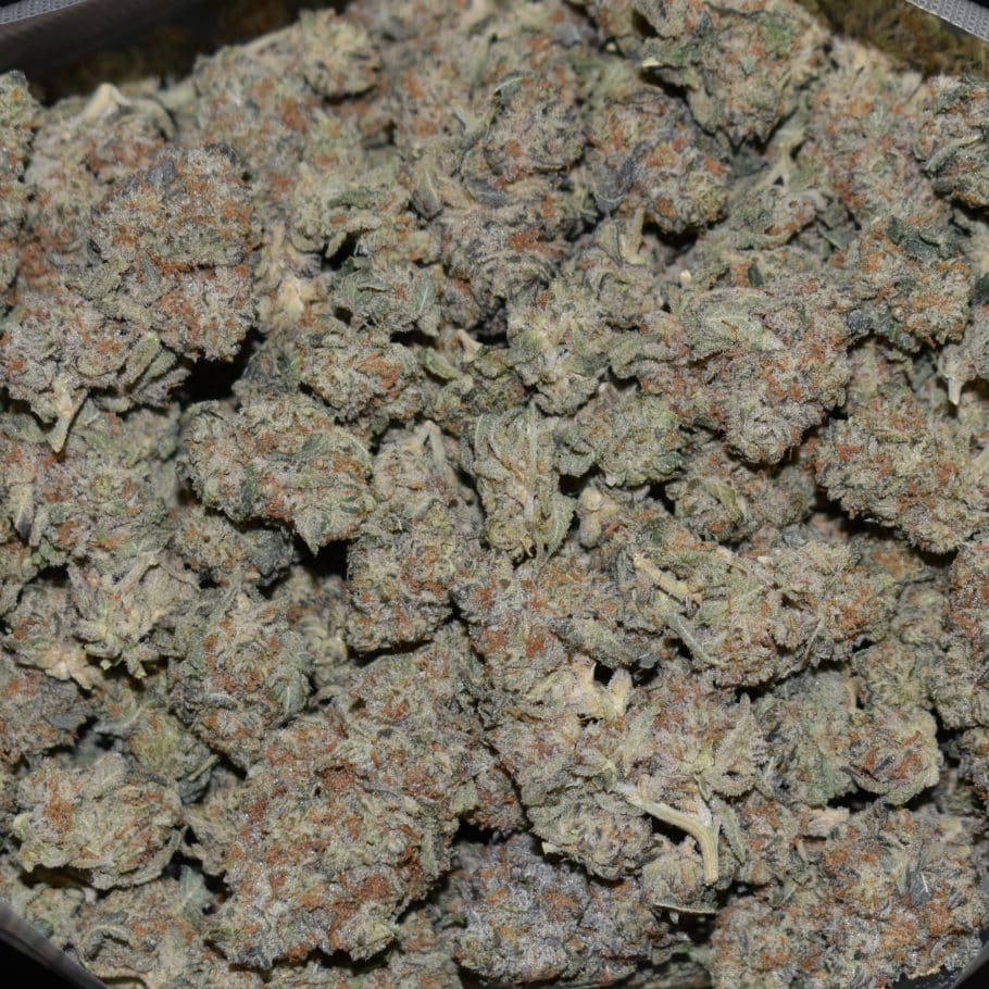 Sherbet Cookies strain, Sherbet Cookies weed strain, Sherbet Cookies marijuana strain, Sherbet Cookies Buds