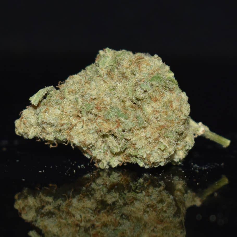 Space Cream strain, Space Cream weed strain, Space Cream marijuana strain, Space Cream Buds