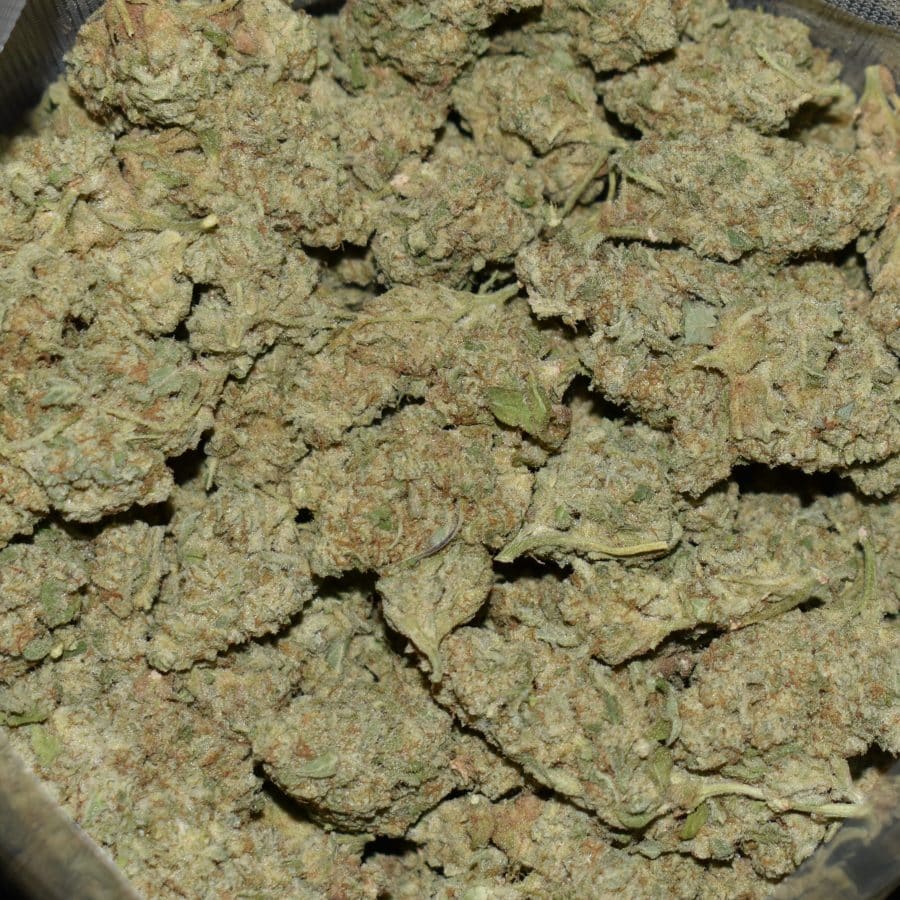 Space Cream strain, Space Cream weed strain, Space Cream marijuana strain, Space Cream Buds
