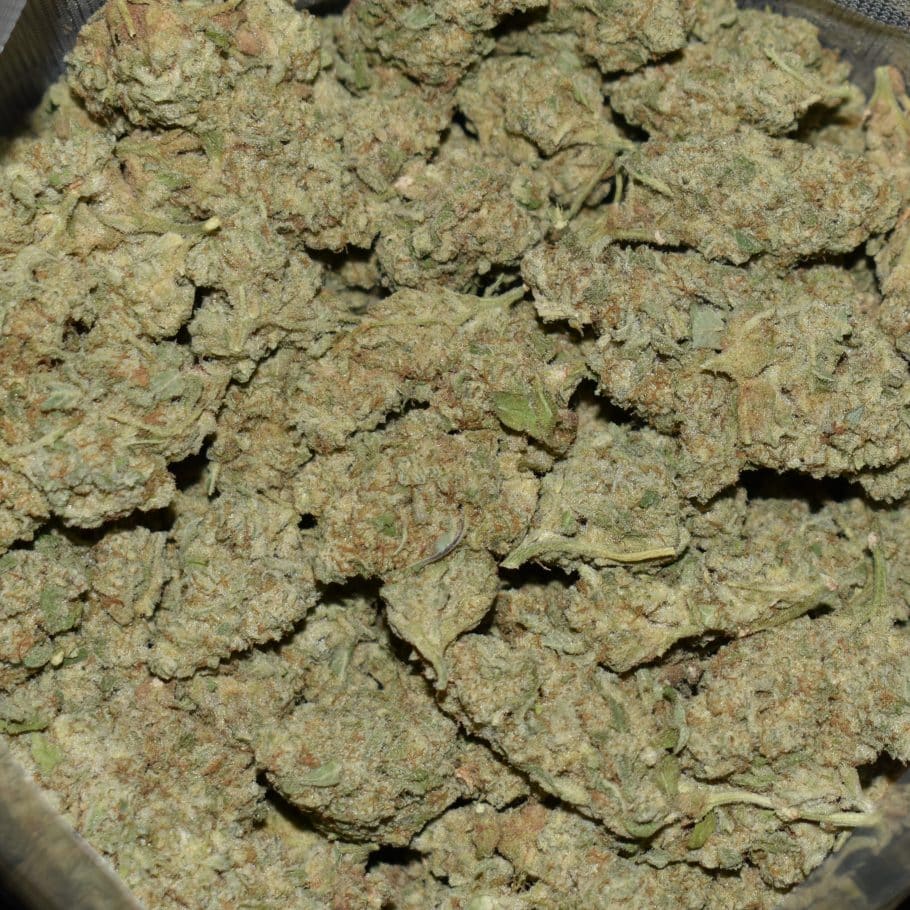 Space Cream strain, Space Cream weed strain, Space Cream marijuana strain, Space Cream Buds